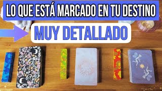 Qué Está Marcado en Tu Destino 🪲 Lectura de Cartas ⭐️ Para Ti [upl. by Yewed]