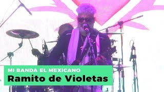 Mi banda El Mexicano  Ramito de violetas En vivo [upl. by Sadonia]