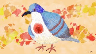 Bleeding Heart Dove  Rare Beautiful Philippine Bird  Oil Painting on Procreate [upl. by Michael]