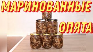 МАРИНОВАННЫЕ ОПЯТА ОЧЕНЬ ВКУСНЫЙ РЕЦЕПТ [upl. by Orofselet]