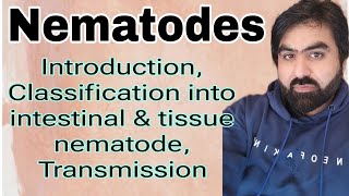 Lec23  Introduction to Nematode  Intestinal nematode  Tissue neamtode  Transmission  UrduHindi [upl. by Dempstor]