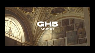 Panasonic LUMIX GH5 cinematic footage 4K [upl. by Ayikan]