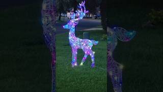 🎄🦌 Christmas Reindeer 🎅christmaschristmasdecor santadecorationfunhappyholidays [upl. by Anaer]