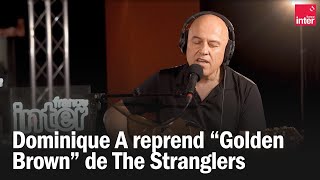 Dominique A reprend quotGolden Brownquot de The Stranglers [upl. by Yanaj]