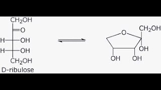 Number of Chiral centers and Stereoisomers that can be derieved from Dribulose [upl. by Idnahc]