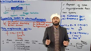Poly Acrylamide gel  Gel Supporting media used in Electrophoresis  Electrophoresis [upl. by Yejus]