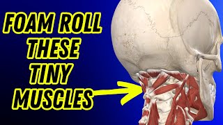 How to Foam Roll for Occipital and Back Muscle Relief  Relax amp Improve Your Posture [upl. by Trbor]