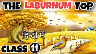 The Laburnum Top Class 11  Detailed Explaination  Hornbill [upl. by Nerrol767]