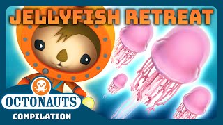 Octonauts  🎐 Jellyfish Retreat 🏖️  3 Hours Full Episodes Marathon  Explore the Ocean [upl. by Natsyrt833]