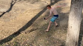 BIG goanna lizard running and chasing person FUNNY  JustBecause [upl. by Ahsoyek]