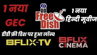 Bflix Tv amp Bflix Cinema New Channels launched on DD Free Dish  DD Free Dish New Updates [upl. by Adara]