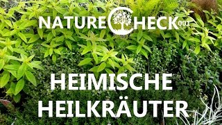 Heimische Heilpflanzen  Ein Streifzug durch die Natur [upl. by Ecneralc]