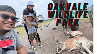 Oakvale Wildlife Park [upl. by Lad244]