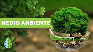 ¿QUÉ ES EL MEDIO AMBIENTE  Definición y resumen [upl. by Ettennat]