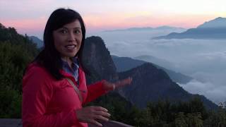 Taiwan Taking the Alishan mountain railway to see the lake of clouds  BBC Travel Show [upl. by Geerts779]