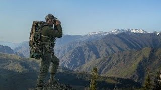 Spring Bear Hunt Snake River Unit Oregon 2 of 2 [upl. by Yelsiap]