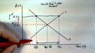 Supply and Demand and the Minimum Wage [upl. by Clay]