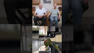 Dr Pol Reacts  Peekaboo DrPol funnyanimalsvideo parrottalking parrot [upl. by Regina537]