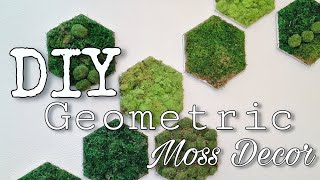 🔰DIY Geometric Moss Decor 🔰 [upl. by Enovahs]