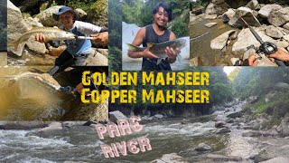 Explore Tami badang Last Migrate Point of Golden Mahseer Pare River Extreme Anglers 🎣 epi249 [upl. by Trici221]