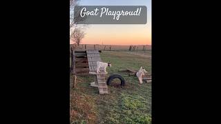 Building GOAT PLAYGROUND build goat playground free pallets [upl. by Aniez162]