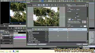 Foto mit dem Layouter von Edius in ein Video fahren und hineinzoomen [upl. by Ner]