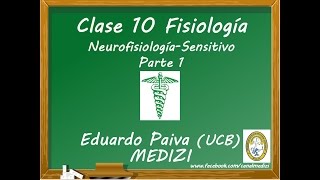 Clase 10 Fisiología  Neurofisiología Sensitivo 1 IGdoctorpaiva [upl. by Cecilia]