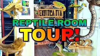 REPTILE ROOM TOUR  2022 [upl. by Manson]