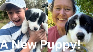 We Got a Puppy [upl. by Adarbil]