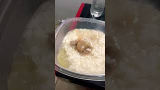 What did I eat on the Thursday night nice and delicious rice with onion meat vlog delciousfood [upl. by Aztin]