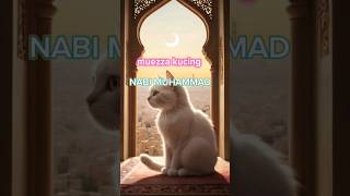 muezza kucing nabi muhammadsholawat dakwahislam storyislami doa sholat [upl. by Cassandra]