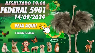 🔴 LOTERIA FEDERAL DO BRASIL extração 5901  JOGO DO BICHO  Live 14092024  Resultados ao vivo [upl. by Airreis]