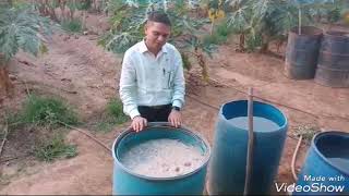 Liquid waste decomposer on pomegranate papaya WDC तरल वेस्ट डीकम्पोजर माइक्रोन्यूट्रीट पत्थरों [upl. by Obeng]