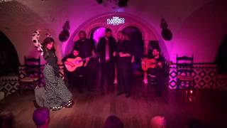 Águeda Saavedra en Tablao Flamenco Cordobes 10072018 [upl. by Addiego784]