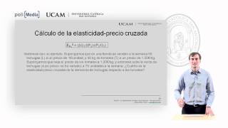 Microeconomía I  La elasticidad de la oferta y de la demanda 5  Alfonso Rosa [upl. by Colbye478]