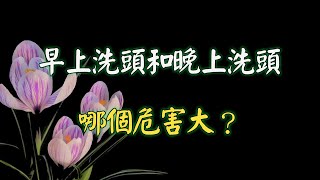 早上洗頭和晚上洗頭哪個危害大？多久洗一次才健康？一起看看吧 [upl. by Askari838]