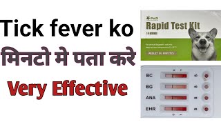 How to detect tick fever in dogs Rapid Test Kit method [upl. by Anoet96]