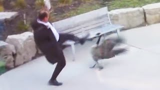 Man Attacked By Goose almost dies [upl. by Hillard]