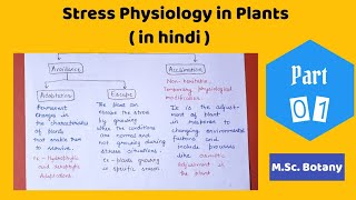 Stress Physiology in Plants  in detail   Stress physiology in hindi [upl. by Nosned245]