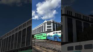 Commuter Train at Railroad Crossing in Seattle shorts seattle railroadcrossing pnw railfanusa [upl. by Carrol]