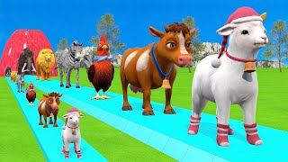 Paint amp Animals CowGorrilaElephantZebraPigLionHusky Fountain Crossing Transformation Cartoon [upl. by Ahsino]