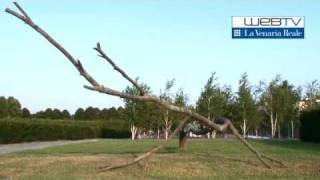 La Venaria Reale quotIl giardino delle sculture fluidequot di Giuseppe Penone [upl. by Asiela281]