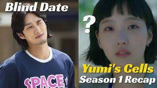 Yumis Cells Season 1 Recap Plot Characters and Ending [upl. by Orual515]