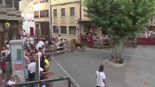 Emisión en directo de Navarramundovision 2 [upl. by Ahsiekat]