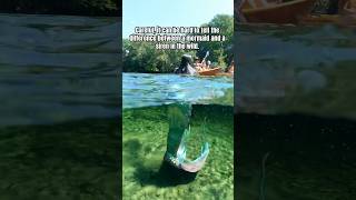 Planning a trip to Florida Beware of mermaids 😳 mermaid siren kayak florida underwater [upl. by Nedlog]