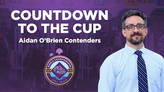 Countdown to the 2024 Breeders Cup Aidan OBrien Contenders including City of Troy [upl. by Sirtimid804]