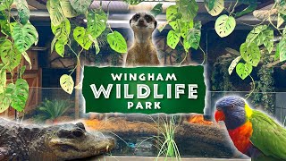 WINGHAM Wildlife Park Full Walkthrough Tour 2024 [upl. by Poland]