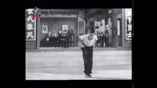 Choy Li Fut quotMon Gee Kuenquot 蔡李佛 萬字拳 [upl. by Llig]