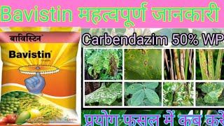 Carbendazim  Bavistin  bavistin fungicide uses  bavistin fungicide  carbendazim 50 wp uses [upl. by Allsopp]