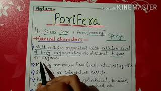 Phylum porifera characters and classification in Hindi [upl. by Whallon]